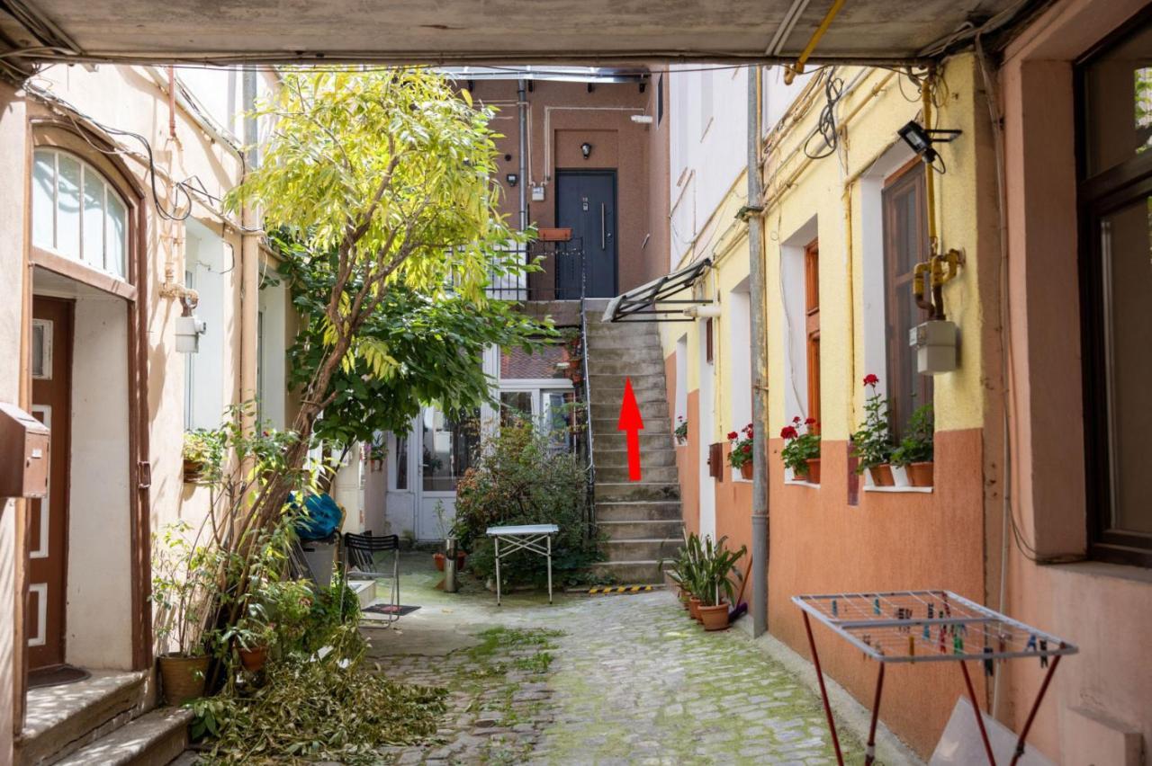 The Bear'S Den In Old City Centre Braşov Exteriör bild